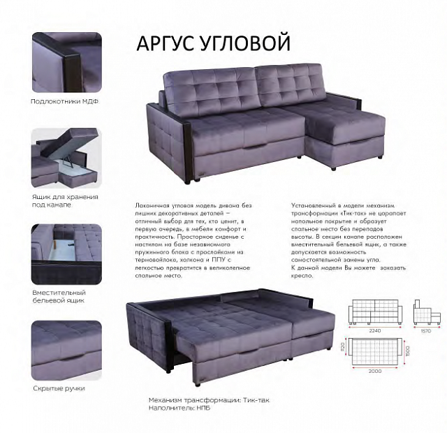 Аргус угловой 
